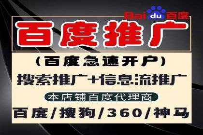 百度推广公司案例解析：如何利用百度推广实现快速转化